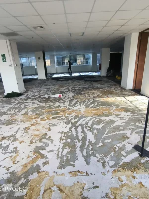 Proceso de habilitación oficinas