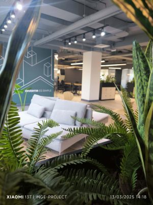 Design and build oficinas Capitalizarme